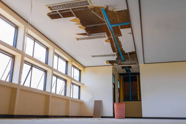 Best Professional water damage repair  in Baltimore, MD