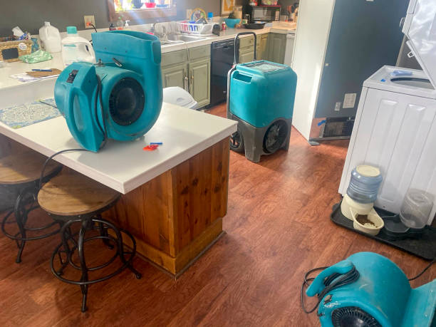 Best Basement water damage restoration  in Baltimore, MD