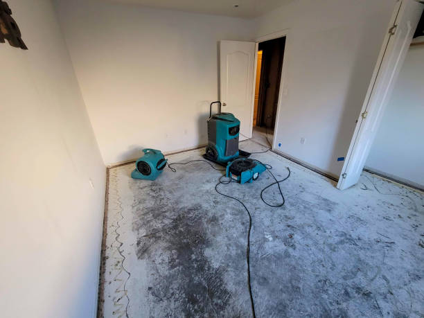 Best Mold removal after water damage  in Baltimore, MD