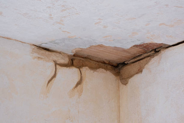 Best Flooded house restoration  in Baltimore, MD