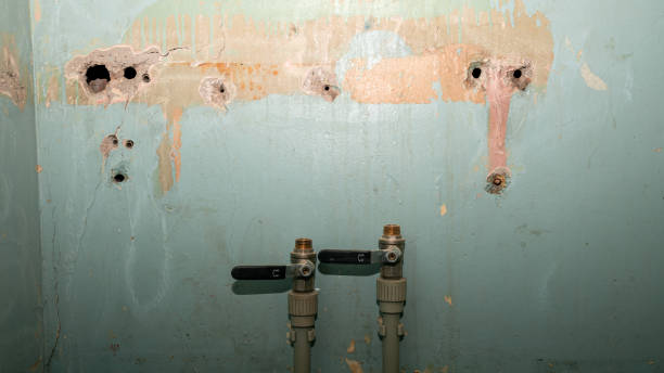 Best Carpet water damage restoration  in Baltimore, MD