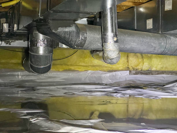 Best Water damage contractors near me  in Baltimore, MD
