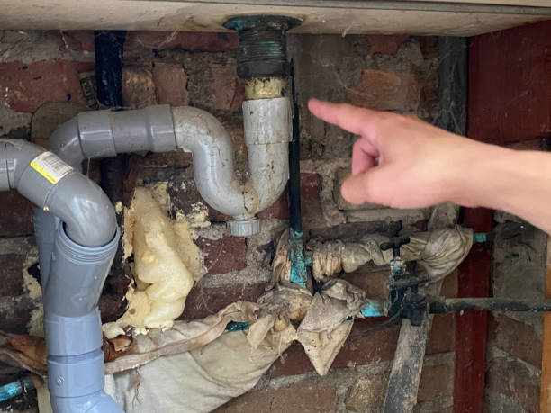 Best Sewage cleanup and water damage restoration  in Baltimore, MD