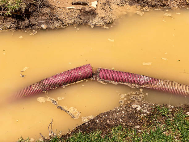 Best 24/7 water damage repair  in Baltimore, MD