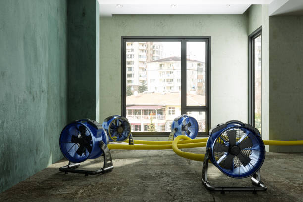 Best Carpet water damage restoration  in Baltimore, MD